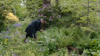 Дрис ван Нотен в своем саду в Антверпене. Кадр из документального фильма Dries (2017)