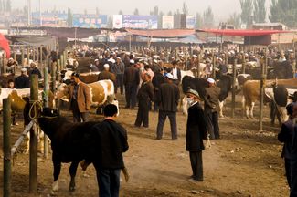 Воскресный рынок скота в старом городе в Кашгаре, 27 июля 2009 года