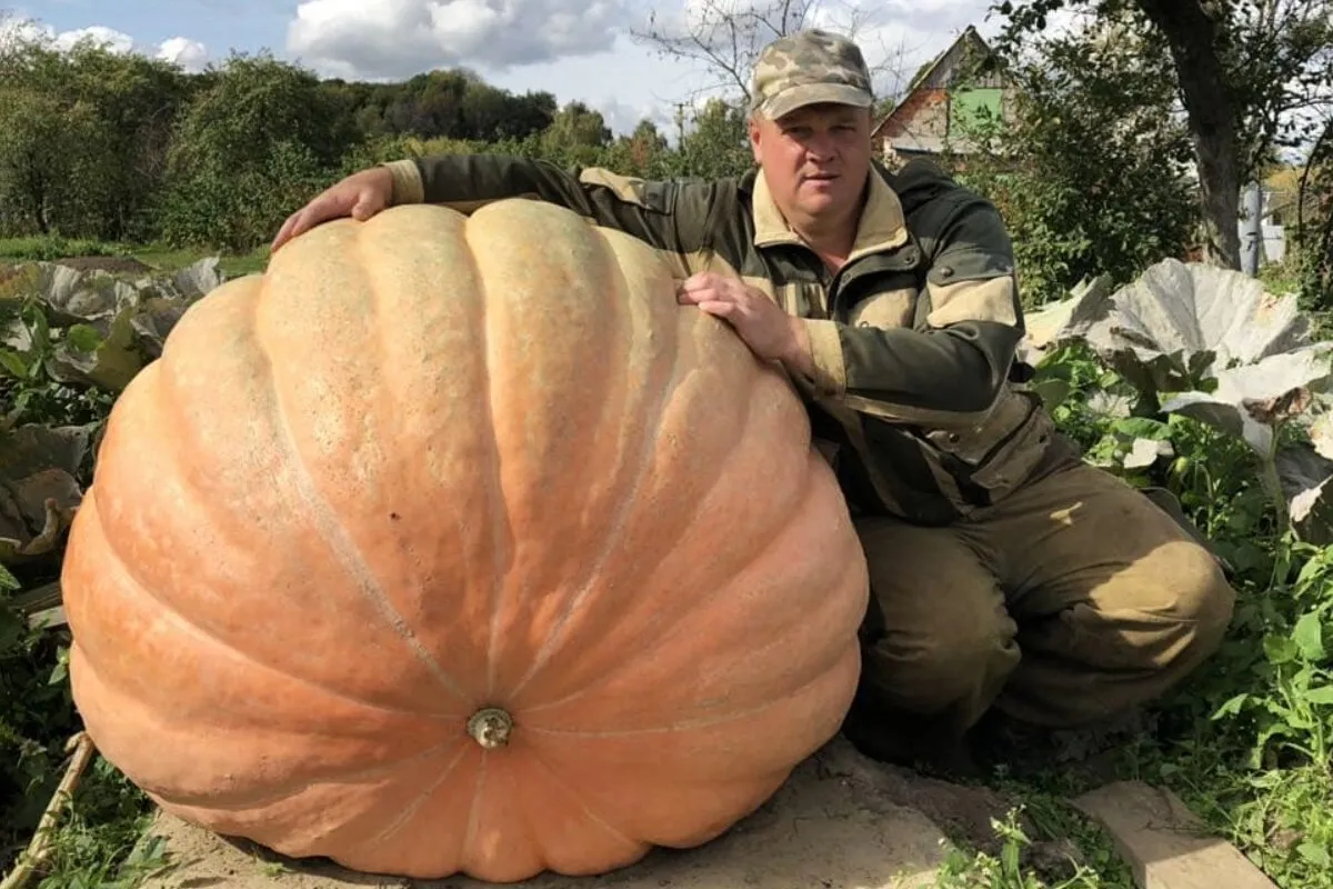 Архив Андрея Гусева