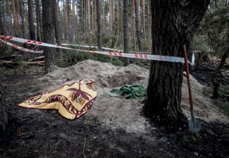 Убитая жительница Мотыжина, Киевская область
