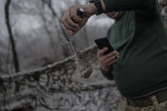 Мышь на медицинских ножницах возле окопа. Донецкая область, декабрь 2023-го.
