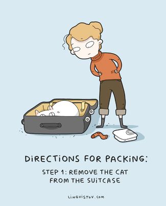«Инструкции по сбору вещей. Шаг 1: извлеките кота из чемодана»