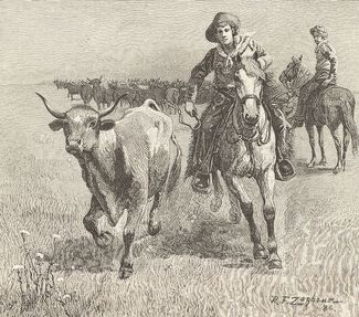 Ковбой преследует cбежавшего из стада быка. Гравюра 1885 года