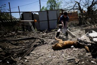 Житель Новотаврического и его погибшая собака. Последний обстрел села произошел 6 мая