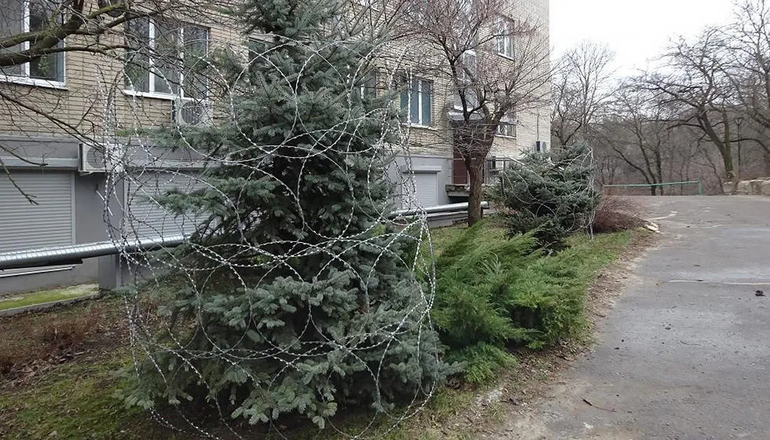 Фото: страница «Зеленый союз» ВКонтакте