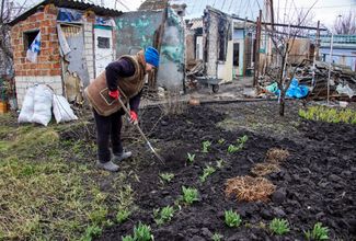 62-летняя жительница Черкасских Тишек Александра работает в своем огороде