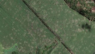 Спутниковый снимок полей возле Славянска, изрешеченных сотнями артиллерийских снарядов.