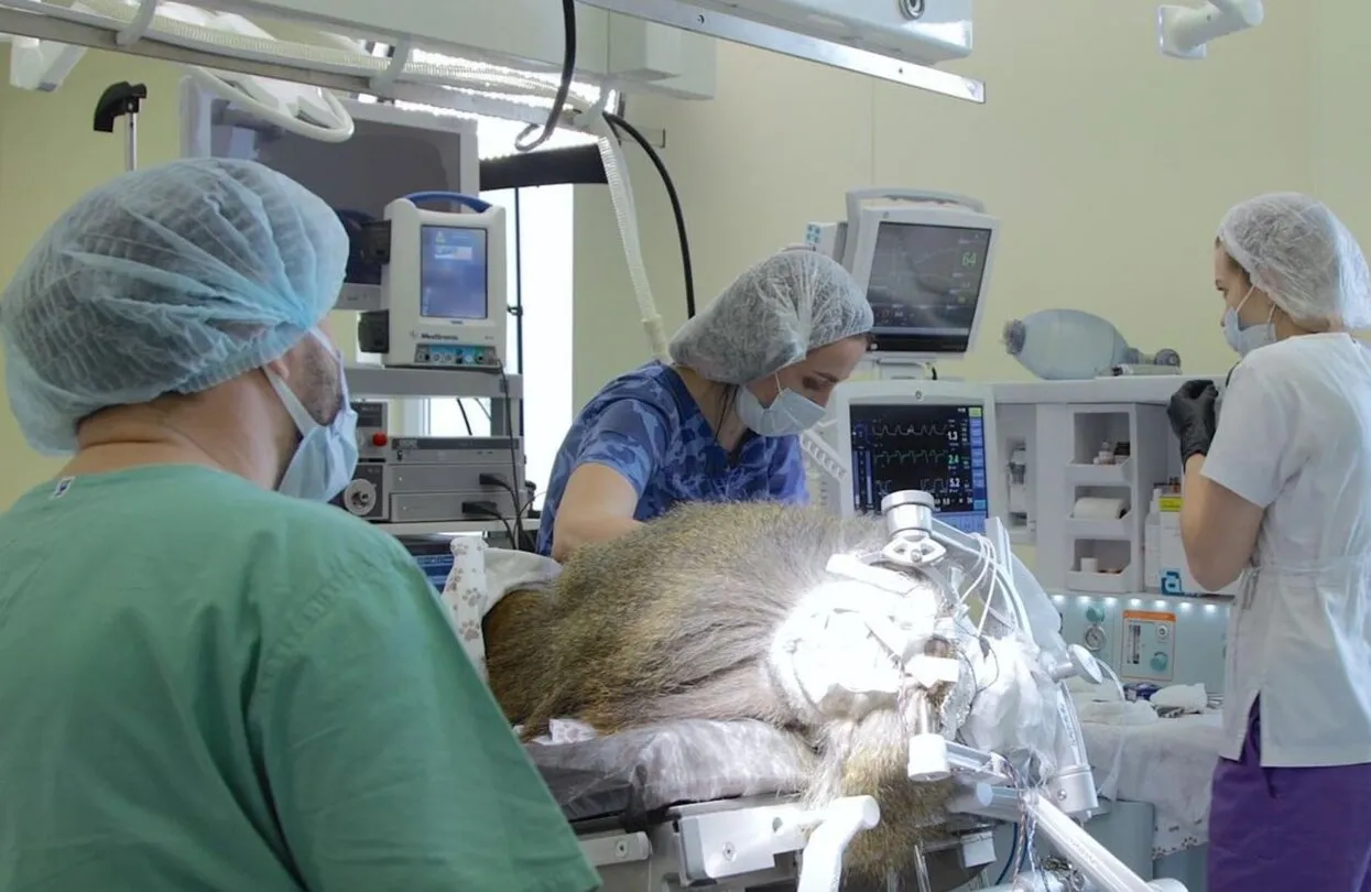 «Сенсор-Тех»