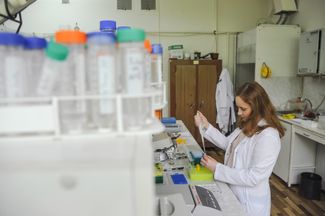 Lab work at the Bochkov Research Center for Medical Genetics, where researchers are studying the possibility of treating cystic fibrosis using genome editing methods