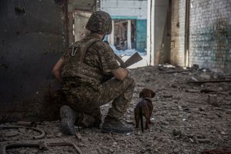 Украинский военный с щенком осматривает местность в промышленной части Северодонецка