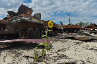 Уничтоженная бронетехника на территории фермы в Харьковской области, которую российская армия использовала в качестве военной базы