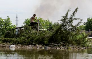 Житель села Корсунка, в 14 километрах от Новой Каховки, на дереве