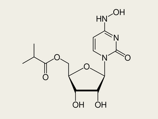 Молнупиравир (коды разработки MK-4482 и EIDD-2801) — вещество, созданное на основе синтетического нуклеозидного производного N4-гидроксицитидина.