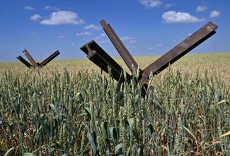 Противотанковые ежи на пшеничном поле фермы в Николаевской области на юге Украины