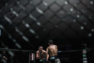 Магомед-Расул Хасбулаев по прозвищу «Фродо» против Салмана Жамалдаева. Гран при Ахмат