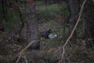 Тело российского солдата в лесу рядом с городом