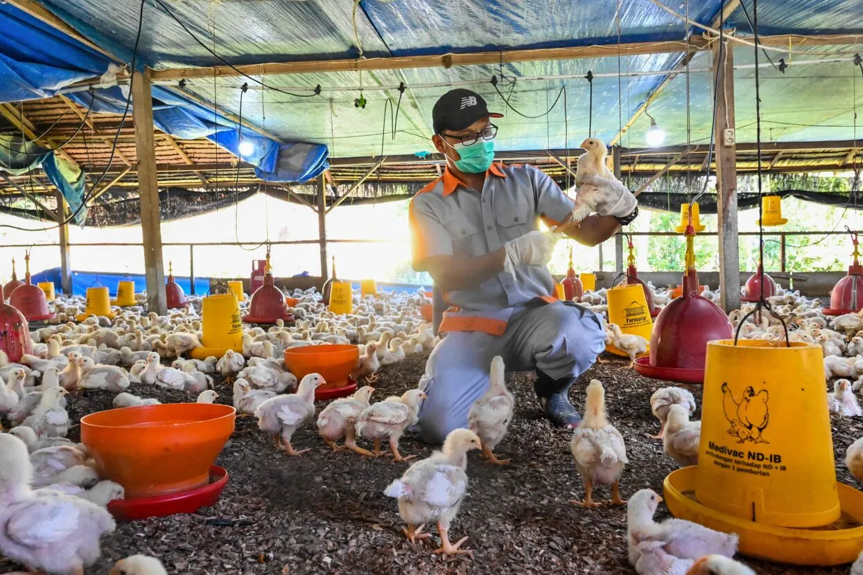 Chaideer Mahyuddin / AFP / Scanpix / LETA