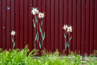 Канадская художница с украинскими корнями Иванка Сиолковски нарисовала цветы вокруг пулевых и осколочных отверстий в Буче