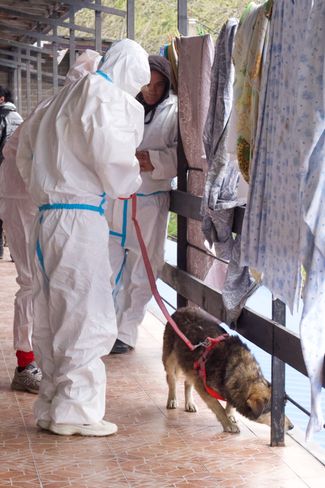 Volunteers at a center help animals affected by pollution