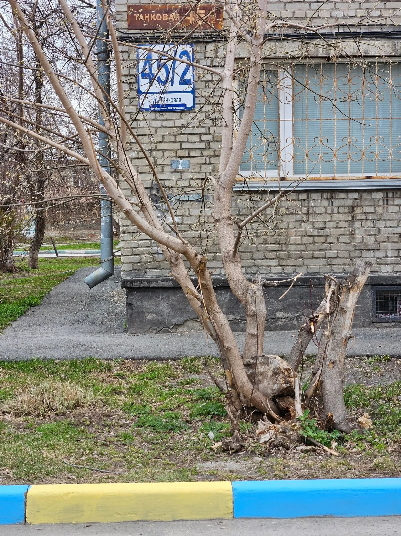 В Новосибирске пожаловались на желто-синий бордюр в одном из дворов.  Коммунальщики извинились и пообещали покрасить его в синий и красный —  Meduza