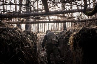 Замаскированные ветками окопы в Кременских лесах