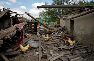 Разрушенный курятник в Розовке. 3 июня 2024 года