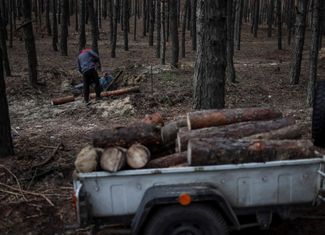 Местные жители разбирают на дрова брошенные под Изюмом российские блиндажи