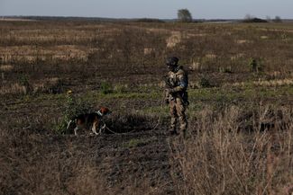 Украинский солдат и его любимая собака Джулия в окрестностях Купянска