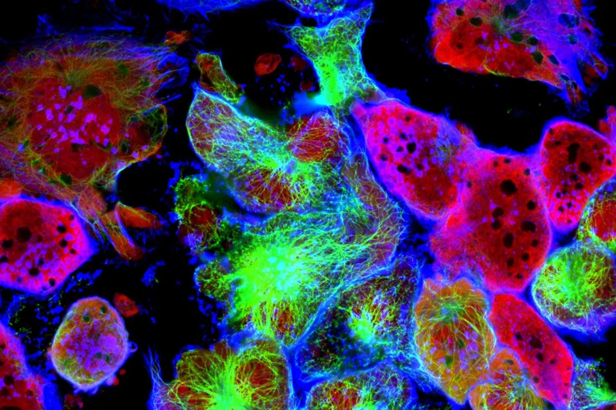 Vshivkova / Shutterstock.com