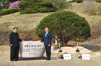 Символическая церемония посадки сосны лидерами двух государств на границе Северной и Южной Кореи, 27 апреля 2018 года