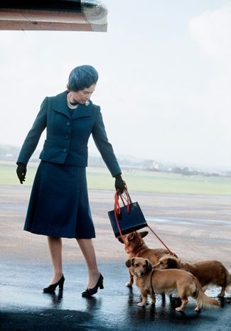 У Елизаветы II на протяжении многих лет были собаки породы корги. Питомцы королевы стали одним из самых милых неофициальных символов британской монархии. На фото, сделанном в 1974 году, королева и ее корги прилетели в Шотландию на отдых в Балморале
