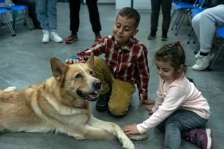 Шестилетний Саша и четырехлетняя Олеся Сундугаи гладят собаку Нику