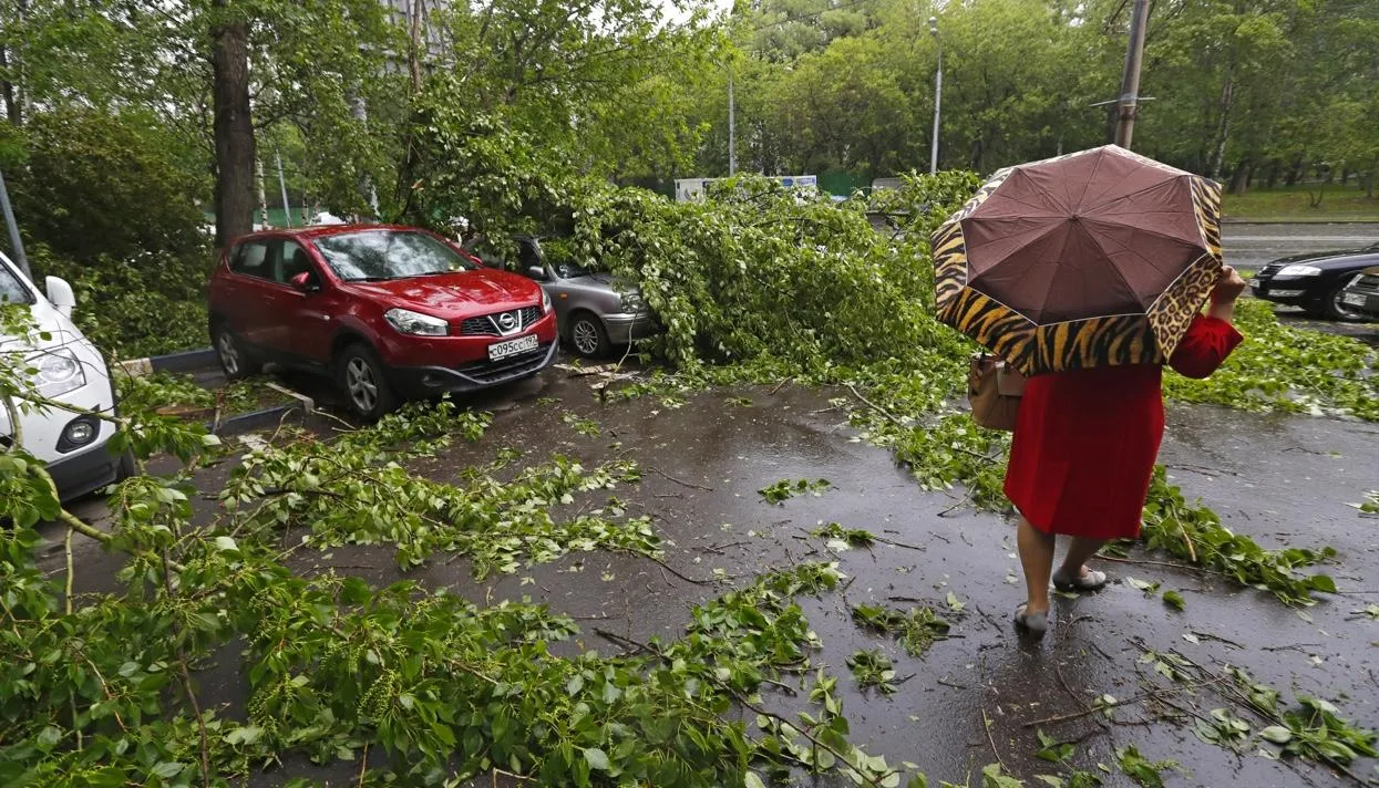 Ураган можно было предсказать? Важные вопросы о стихийном бедствии в Москве  — Meduza