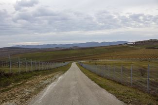 Спуск по дороге от армянского кладбища в Гай-Кодзоре. Слева — виноградники «Шумринки». Январь 2021 года