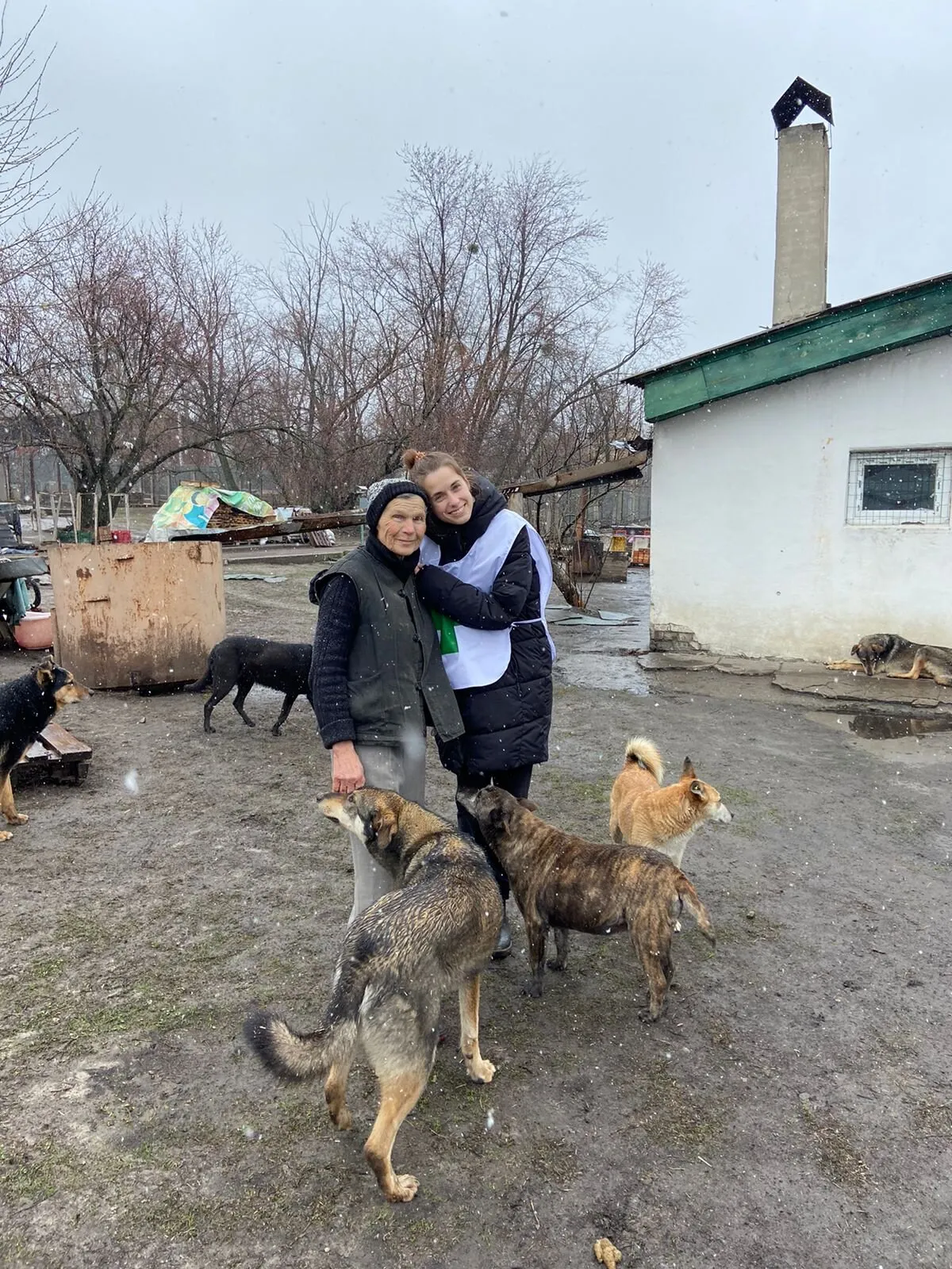 Нам пришлось собирать дождевую воду» Старейший приют для животных в  Киевской области больше месяца работал в условиях оккупации. «Медуза»  поговорила с его управляющей — Meduza