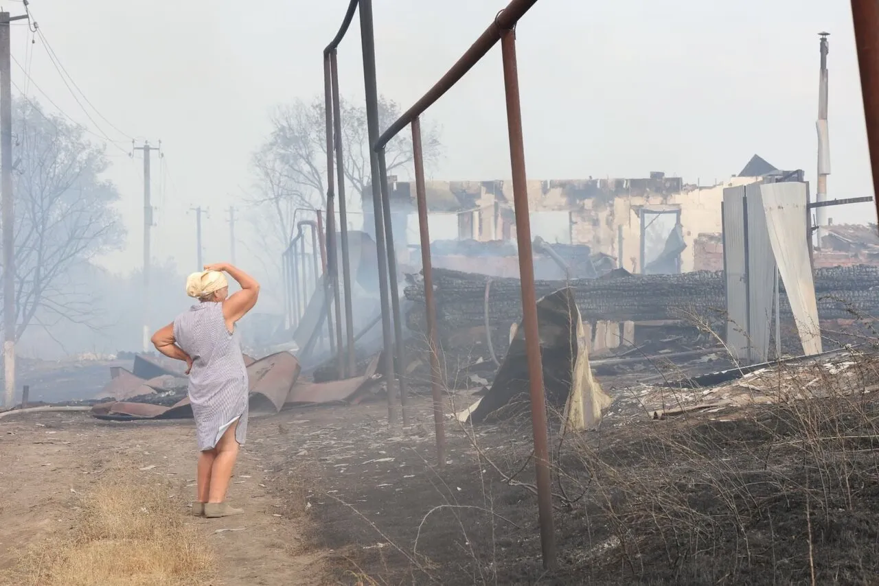 В Самарской области крупный лесной пожар. Огнем охвачен национальный парк,  остановлено движение поездов — Meduza