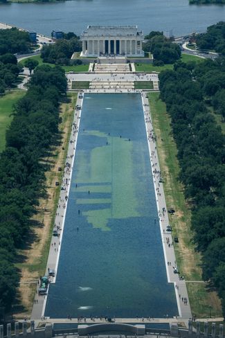 Algae in the pool. June 19, 2026