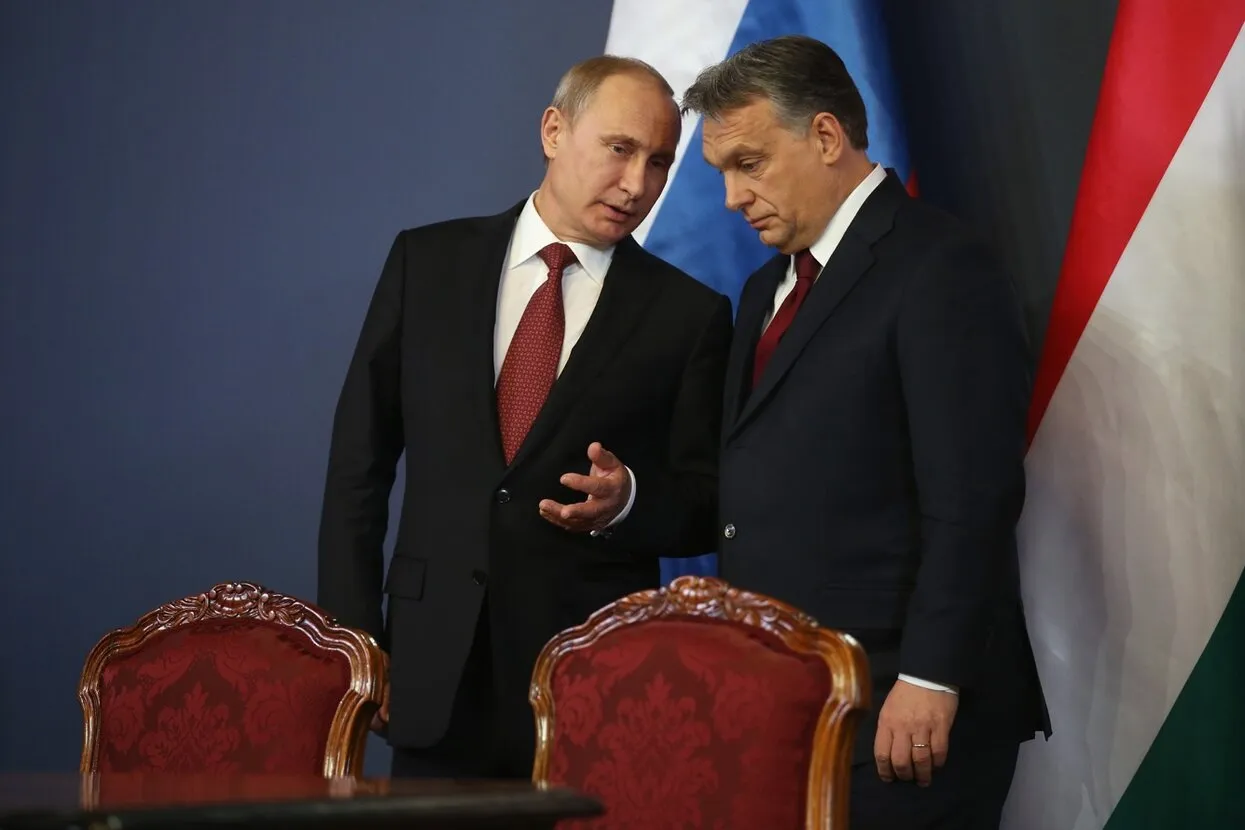 Sean Gallup / Getty Images