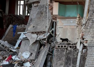 Кошка на развалинах жилого дома в Бахмуте