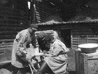 Ветеринарная помощь какому-то копытному в Московском зоопарке. 1930-е годы