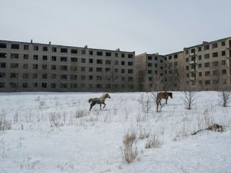 Лошади пасутся возле заброшенных зданий. Раньше здесь находился завод по производству резины. Казахстан, Карагандинская область, город Саран, март 2018 года.