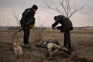 Полицейские опознают тело 20-летнего украинца, погибшего во время оккупации его села российскими войсками. Андреевка, Бердянский район