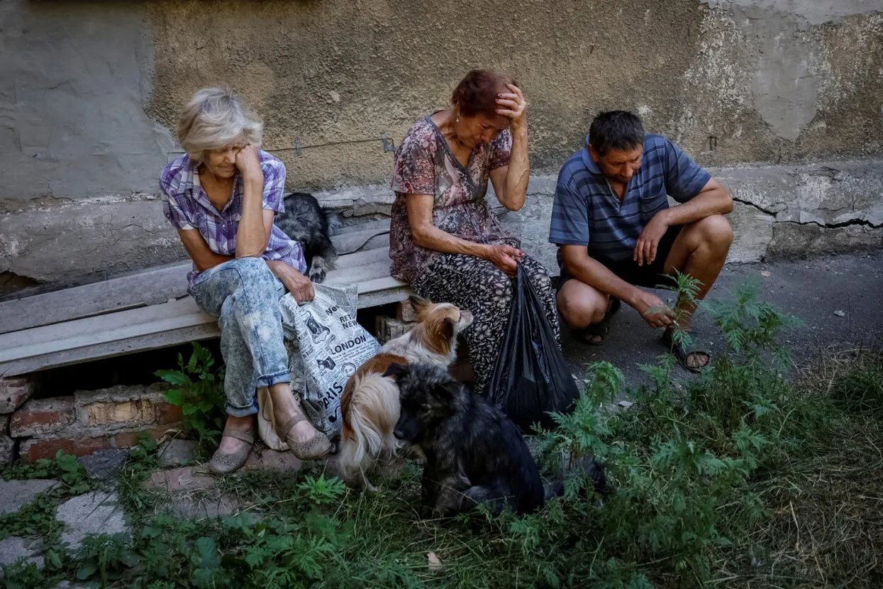 Том и Джерри»: 75-летие на «Медузе» — Meduza