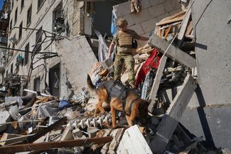 Спасатель с собакой ищут погибших и раненых в поврежденном жилом доме
