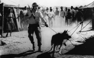 A South African Police officer with teargas and dogs in the township of Soweto near Johannesburg. May 12, 1986.