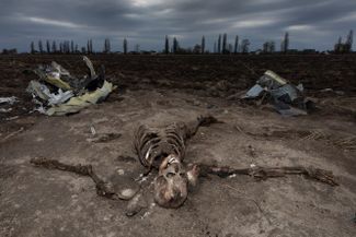 The skeleton of a crew member of a downed Russia helicopter in the outskirts of Kyiv. The body was abandoned and has been lying here for several months.