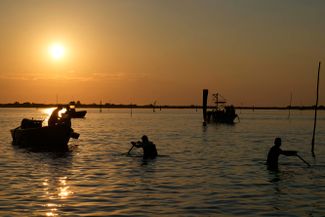 Рыбаки собирают моллюски в Адриатическом море. 29 июля 2022 года