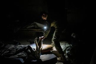 Украинский военнослужащий гладит кошку в подвале, который раньше был базой российских солдат, село Малая Рогань