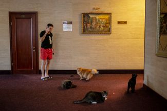 Сотрудник отеля в Харькове переселился в гостиницу со своими котами. В его доме в одном из районов Харьков, который постоянно подвергается обстрелам со стороны России, оставаться слишком опасно