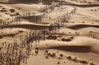 Категория «Спорт», третье место в номинации «Отдельная фотография». Участники «Песчаного марафона» бегут по территории Сахары в Марокко, 9 апреля 2017 года